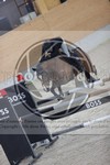 ref. photo 3414464