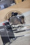 ref. photo 3414466