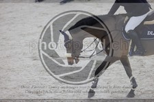 ref. photo 3414527