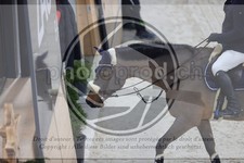 ref. photo 3414529