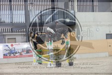 ref. photo 3414552