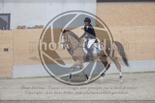 ref. photo 3414641