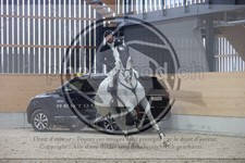 ref. photo 3414683