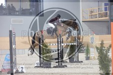 ref. photo 3414729
