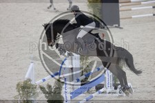 ref. photo 3414839