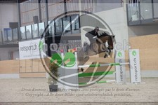 ref. photo 3414845