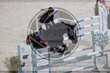 ref. photo 3414851