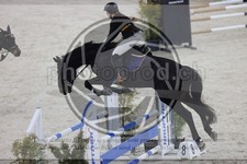 ref. photo 3414852