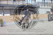 ref. photo 3414899
