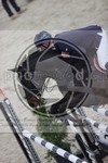 ref. photo 3414904