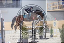 ref. photo 3414938
