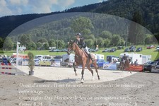 ref. photo 3324111