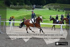 ref. photo 3196628