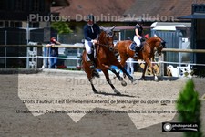 ref. photo 3196913