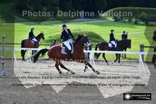 ref. photo 3197111