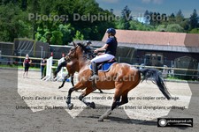 ref. photo 3197157