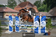 ref. photo 3670056