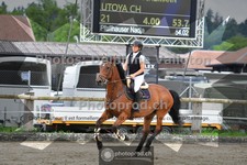 ref. photo 3670067