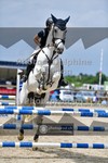 ref. photo 3670094
