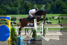 ref. photo 3670136