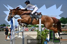 ref. photo 3670901
