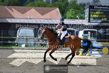 ref. photo 3671002