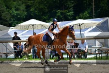 ref. photo 3671029