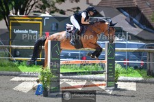 ref. photo 3671136