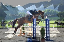 ref. photo 3671180
