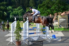 ref. photo 3671208