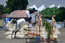 ref. photo 3671300