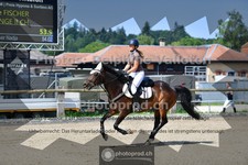 ref. photo 3671427