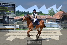 ref. photo 3671490