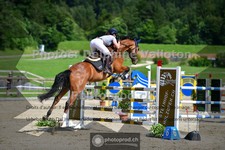 ref. photo 3671596