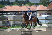 ref. photo 3672011