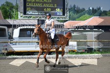 ref. photo 3672034