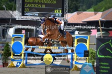 ref. photo 3672042