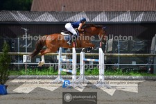 ref. photo 3672044