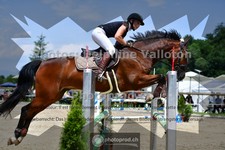 ref. photo 3672227