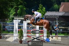 ref. photo 3672636