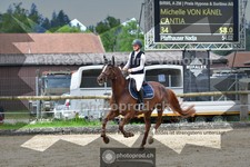 ref. photo 3672832