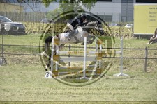 ref. photo 3583333