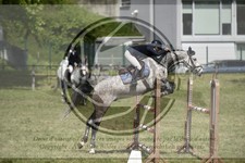 ref. photo 3583334