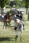 ref. photo 3583340