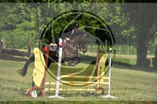 ref. photo 3583350