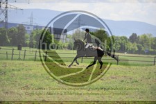 ref. photo 3583351