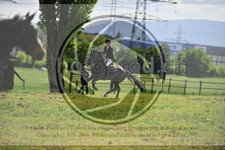 ref. photo 3583352