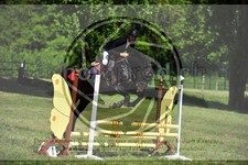 ref. photo 3583354