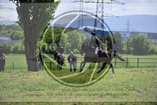 ref. photo 3583451