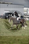 ref. photo 3583468
